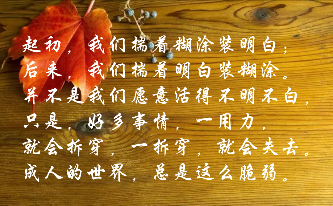 起初,我们揣着糊涂装明白;后来,我们揣着明白装糊涂.