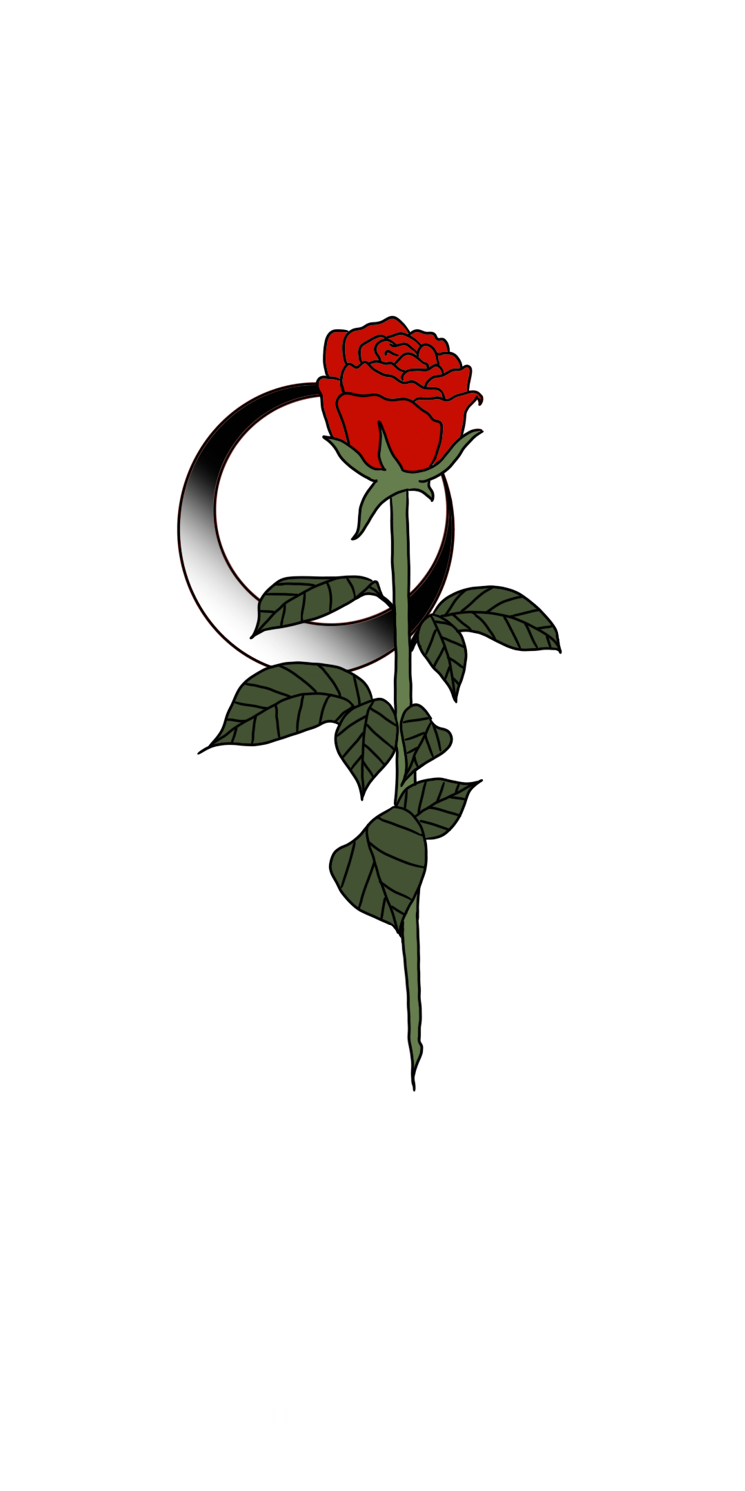 玫瑰月亮