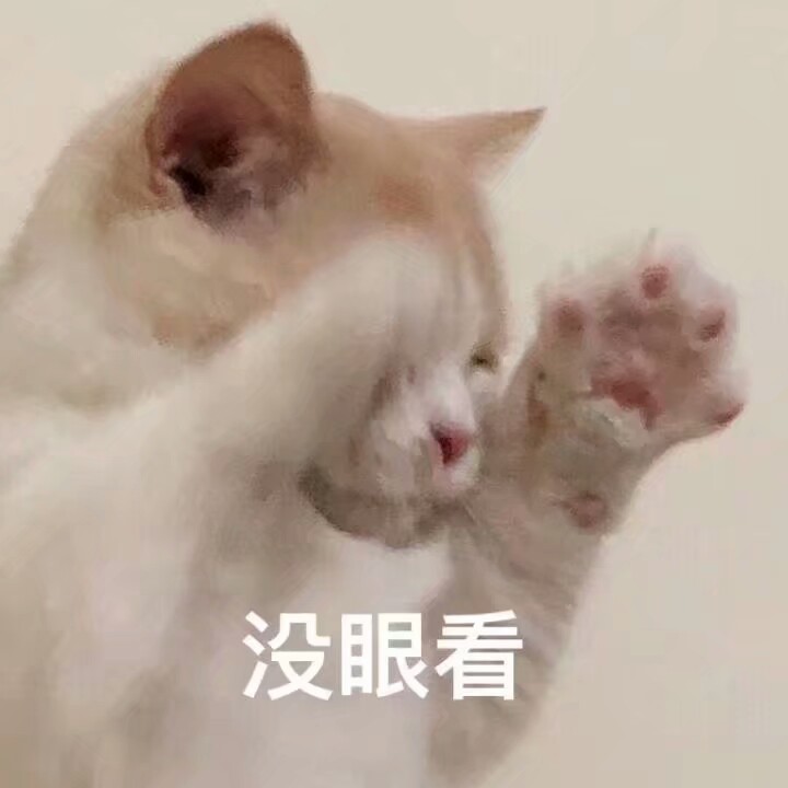 表情包 