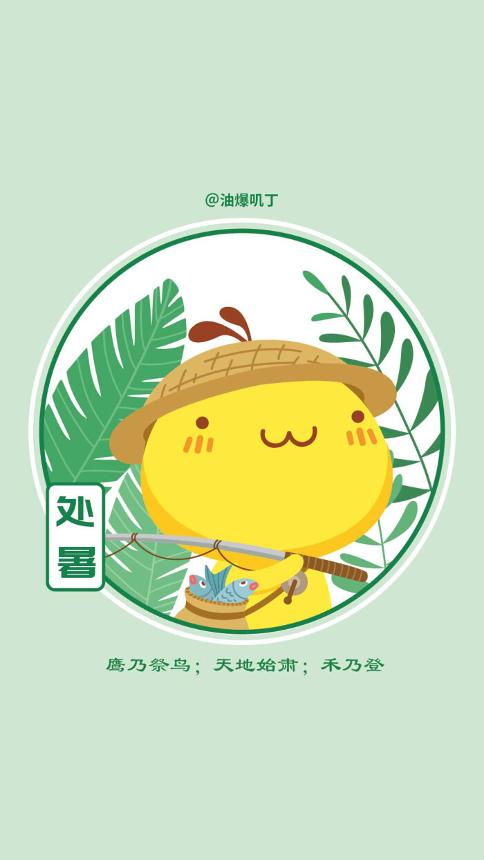 油爆叽丁24节气～处暑