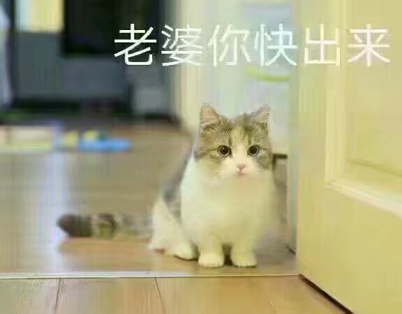 小仙女表情包/可爱表情包/软萌表情包/少女表情包/卖萌表情包/喜欢