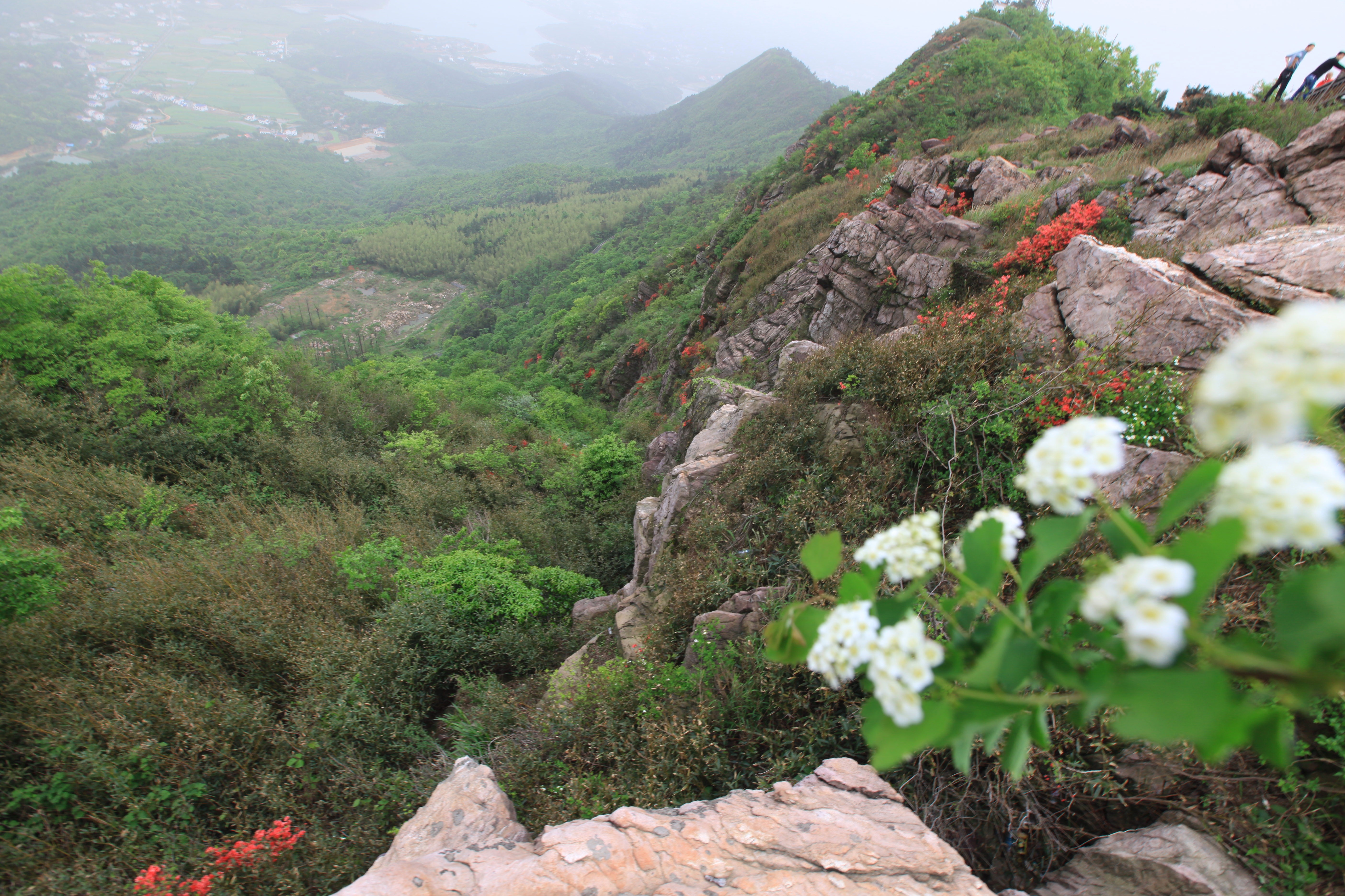 太阳山,常德太阳山,太阳山风景