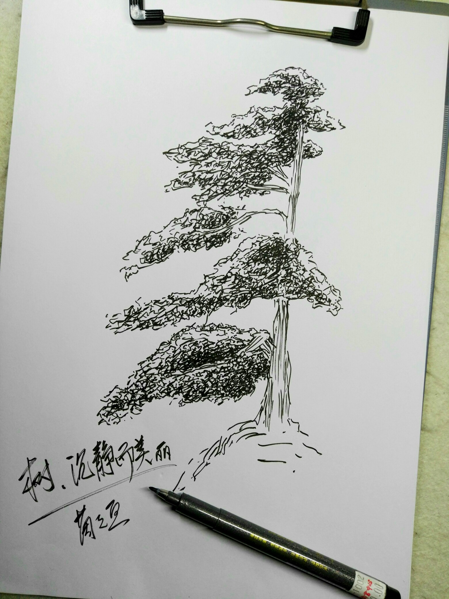 《硬笔画》