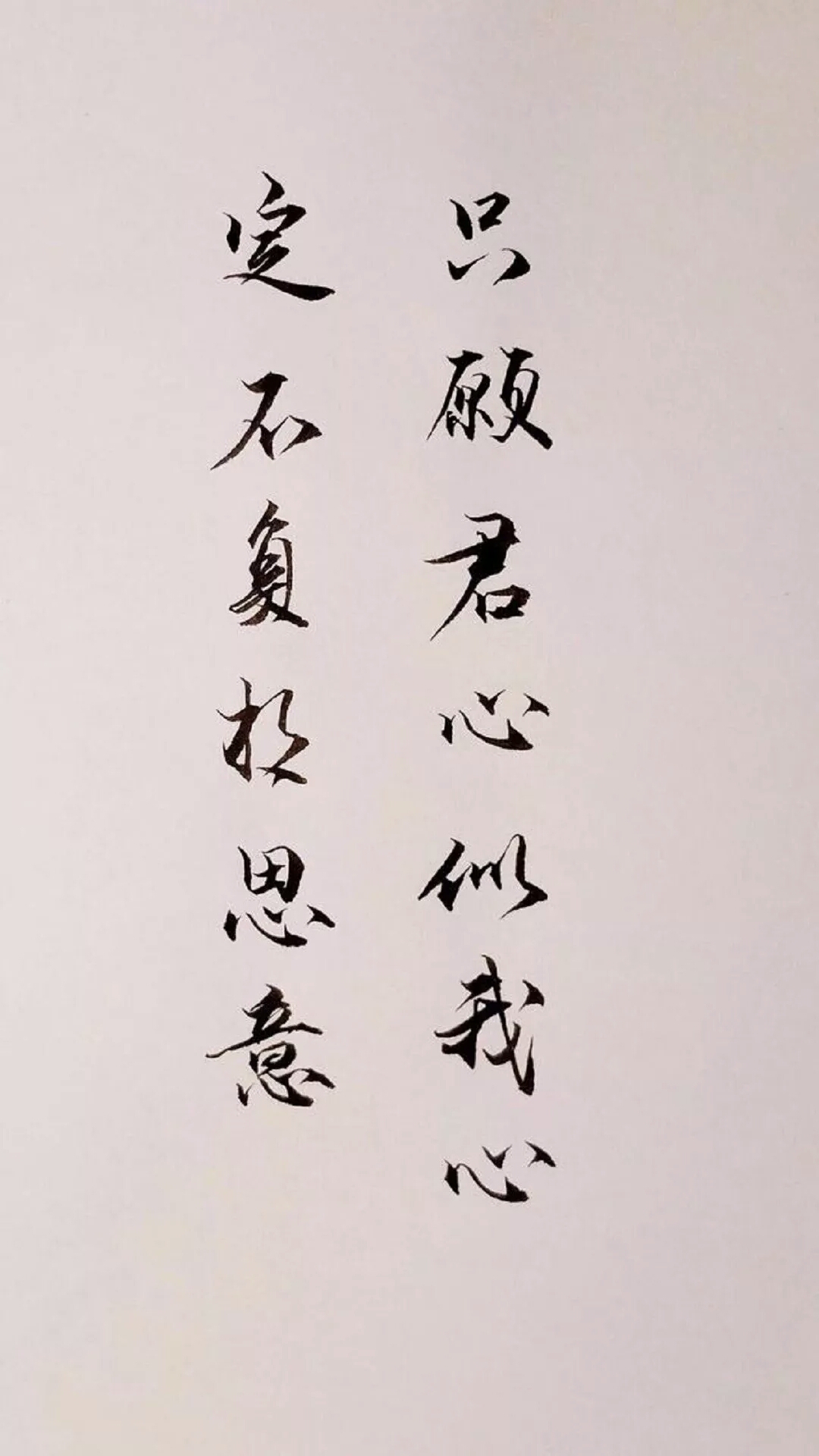 手写 句子 壁纸