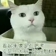 看起来像是在思考,实际上大脑一片空白呢