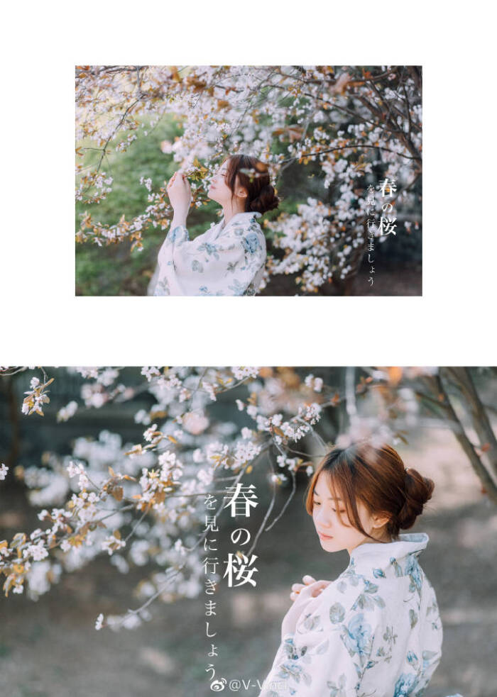 日系画册#青岛约拍#樱花写真#人像摄影#跟着我一起,去看春天的