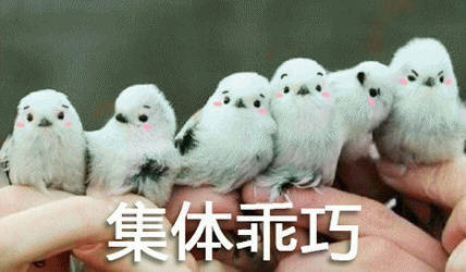 凶凶乖巧