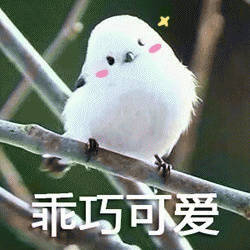 凶凶乖巧
