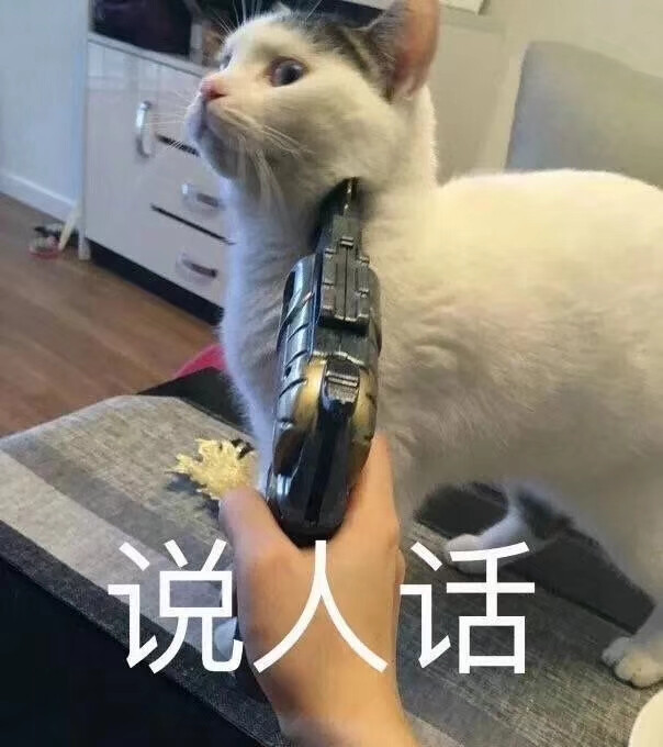 斗图 表情包 金馆长表情包 装逼大神 撩妹认真斗图,认真搞笑,认真生活