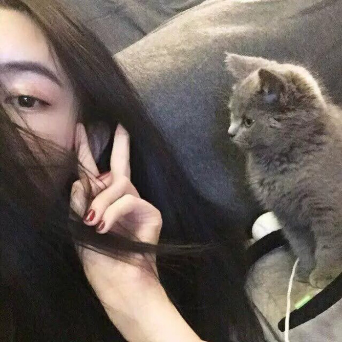 猫系头像 可爱 高冷 女生头像