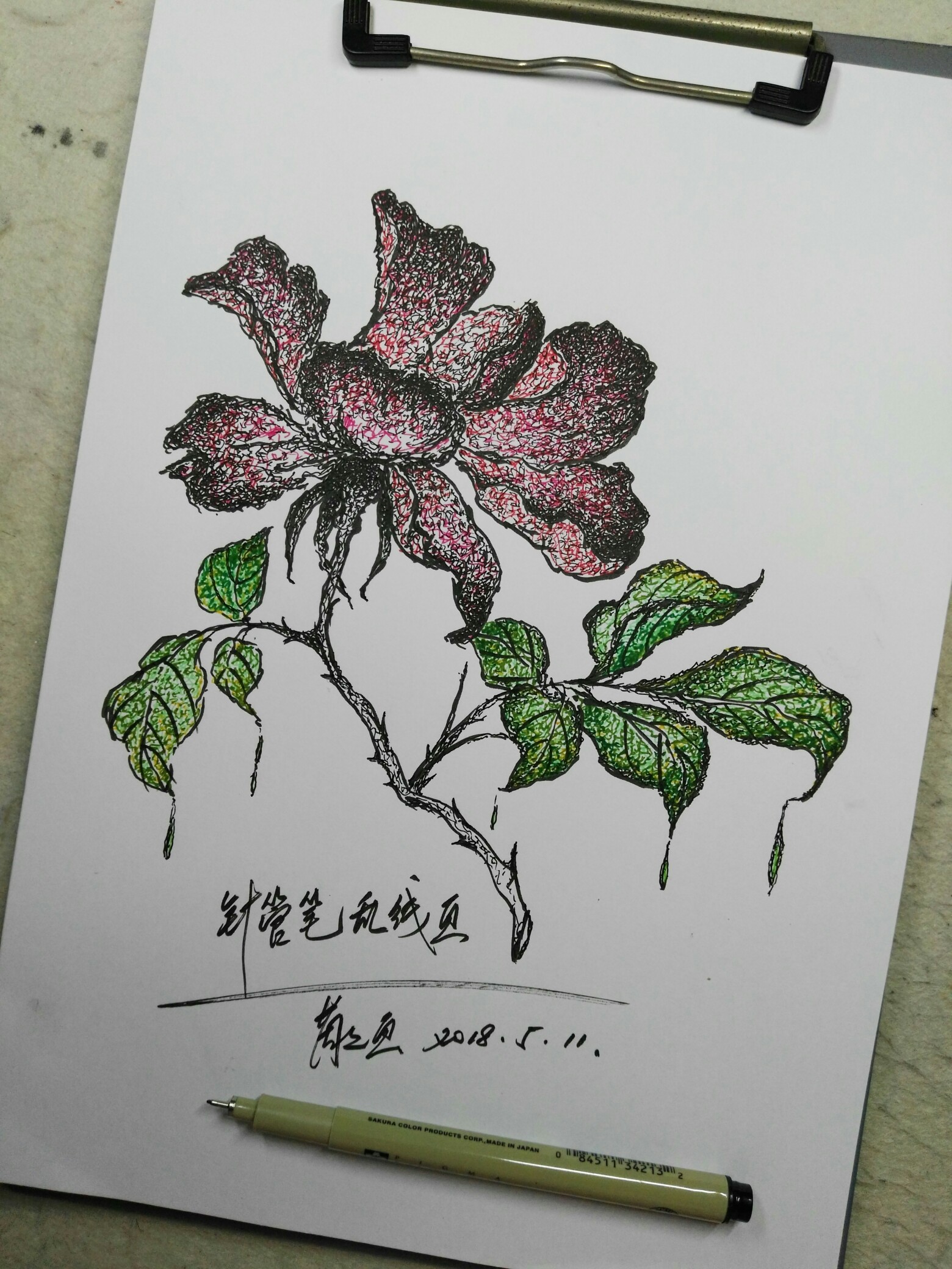 《硬笔画》