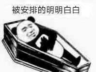 安排 表情包