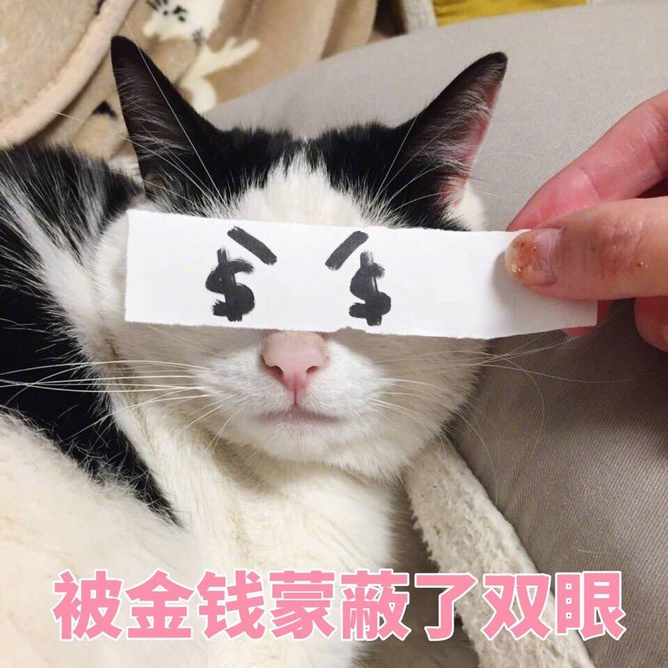 可爱卖萌表情包
