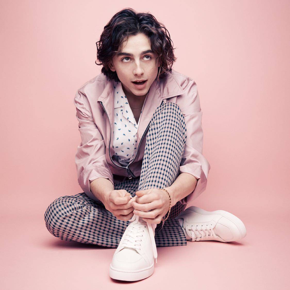 提莫西·查拉梅timothée chalamet(甜茶)