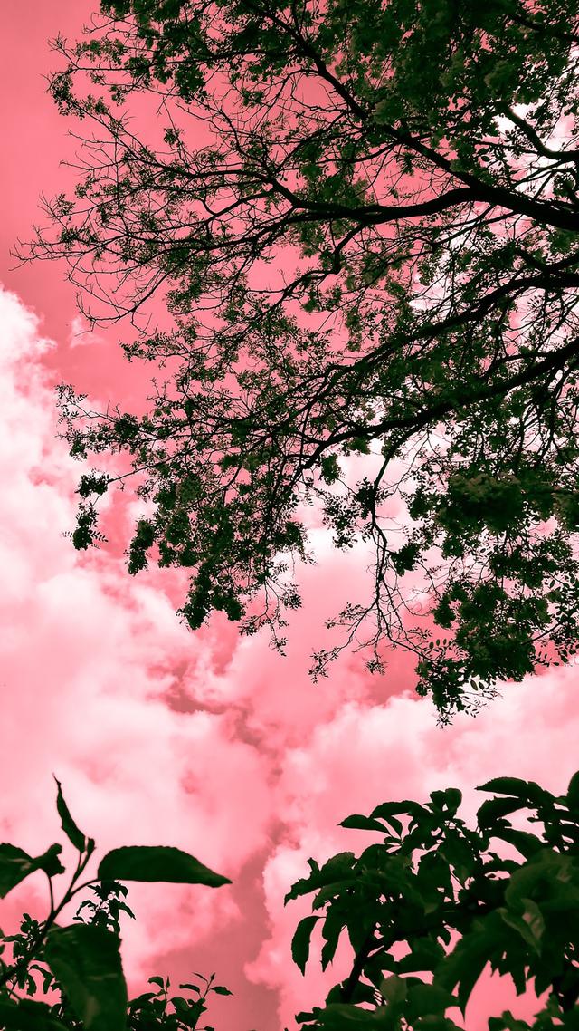 粉色意境天空简洁壁纸
