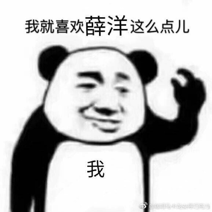 薛洋表情包