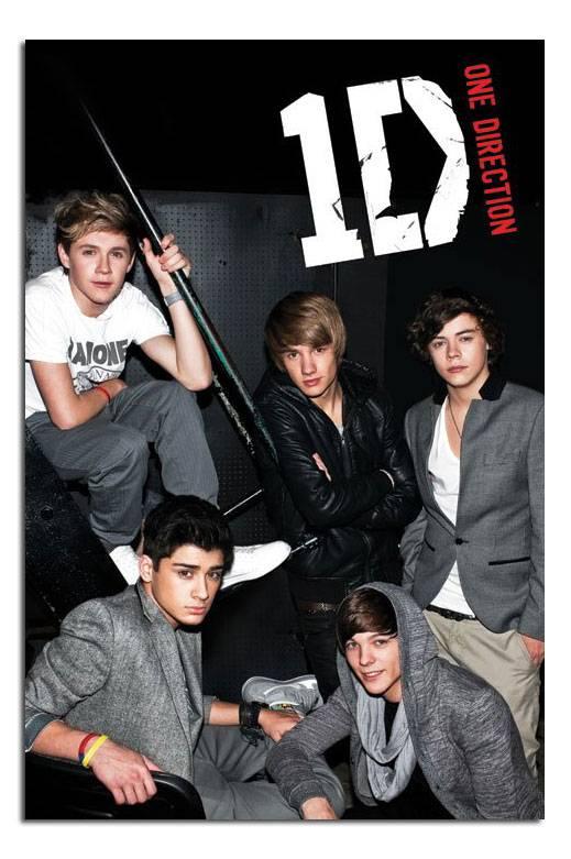 2010年,one direction通过英国选秀节目《x factor