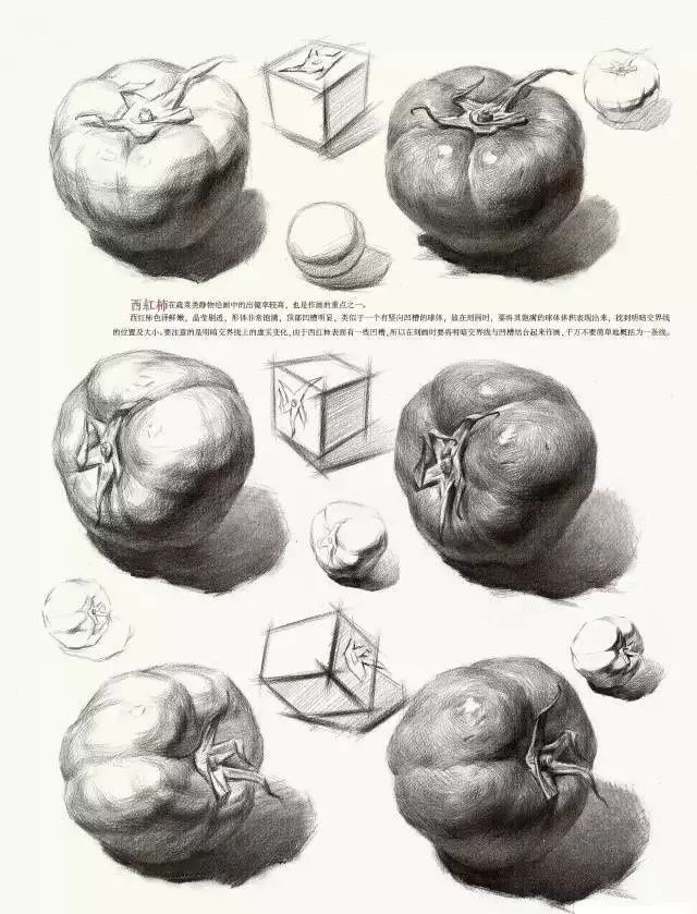 素描苹果步骤.好好学习