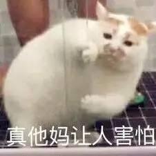 今日原图表情包 热图 搞笑