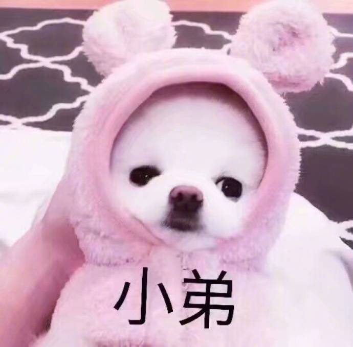 大哥小弟情头