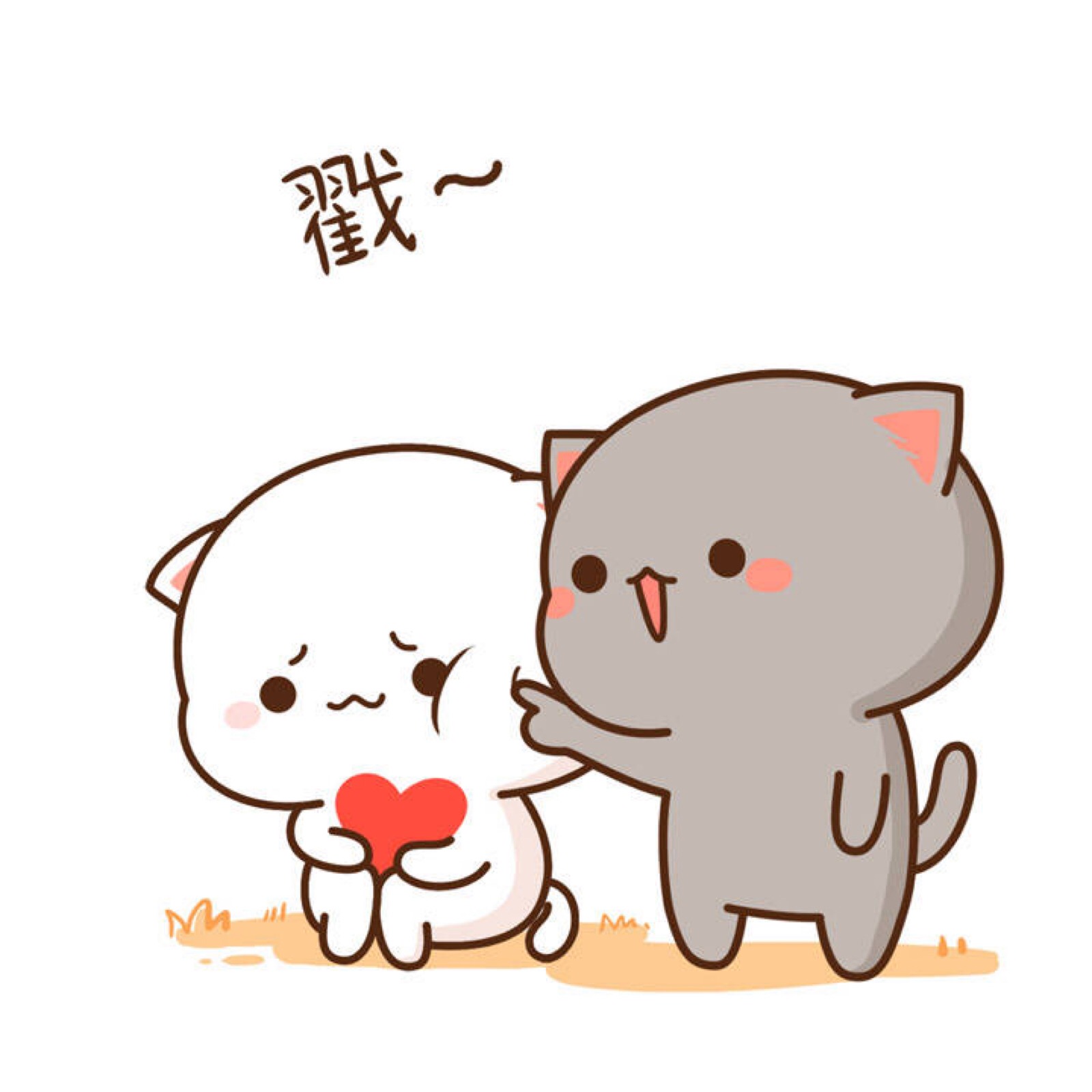蜜桃猫#不开森#不觉晓晓