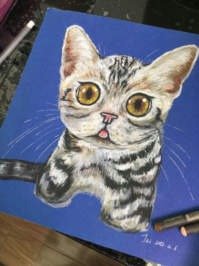 油画棒 重彩 儿童画 速写 静物 猫咪