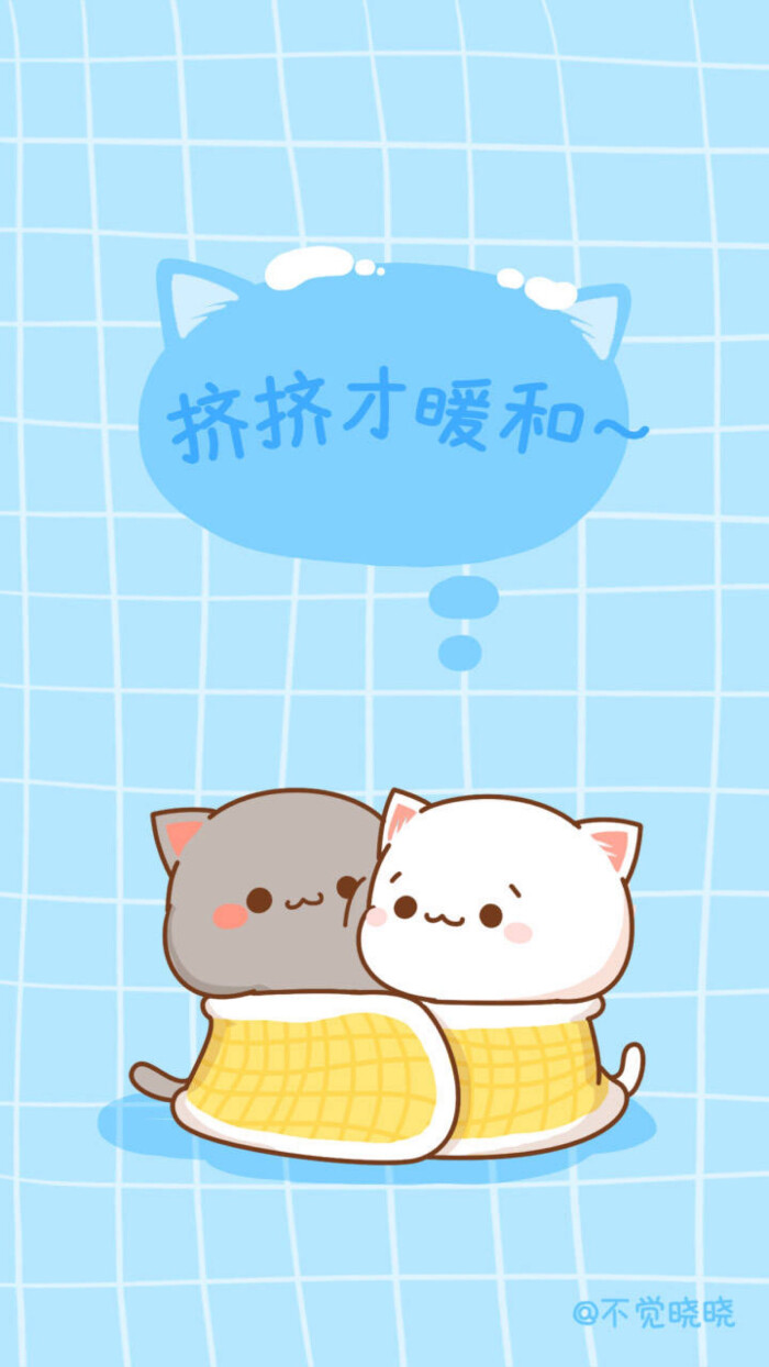 蜜桃猫#壁纸#不觉晓晓