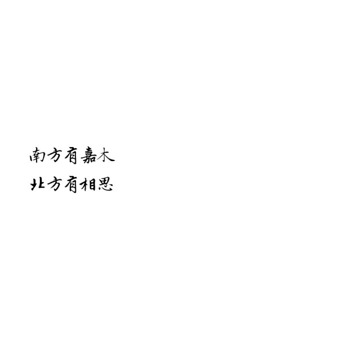 南方有嘉木 北方有相思言非/情话/文字/壁纸/古风