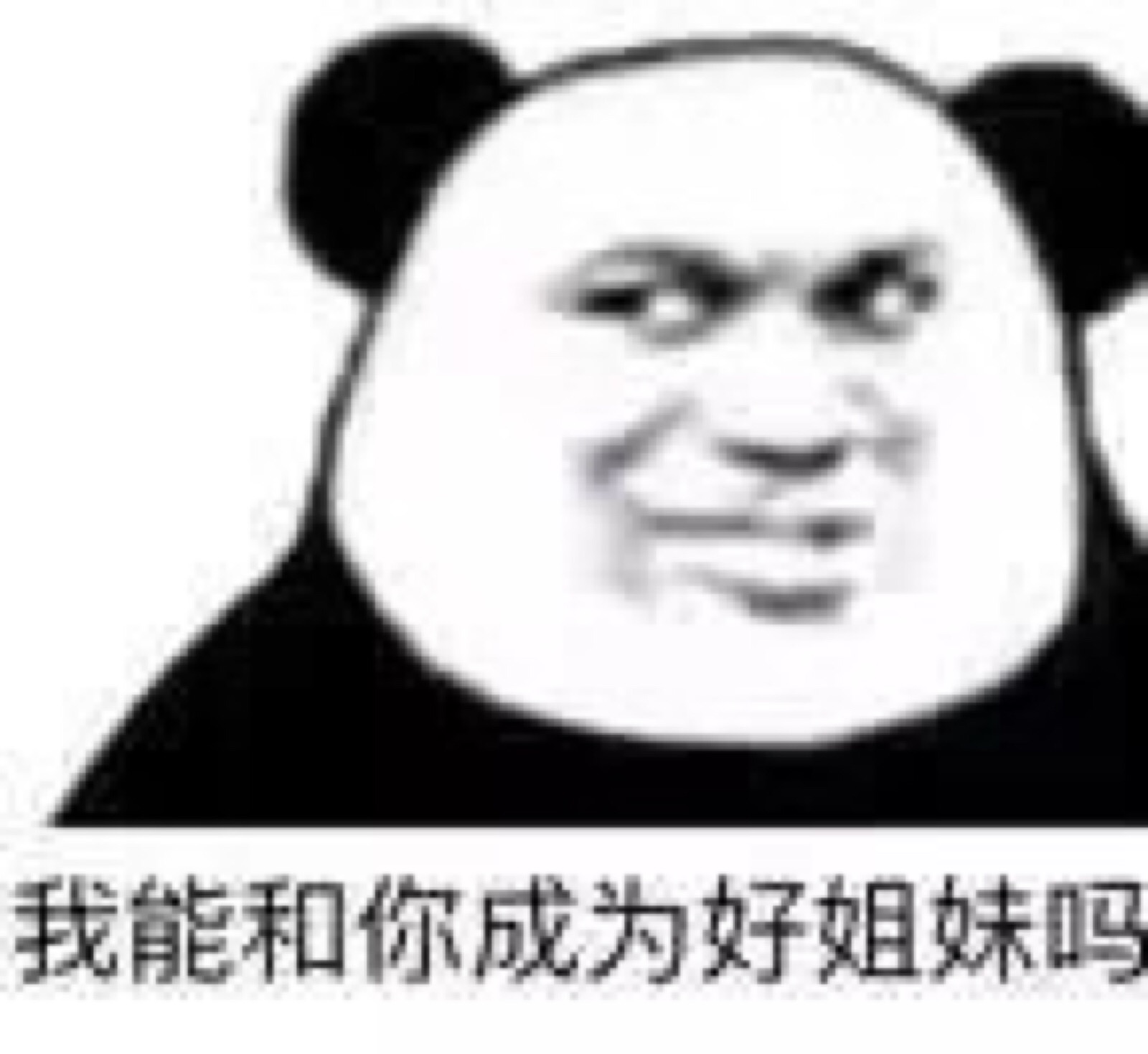 沙雕熊猫头
