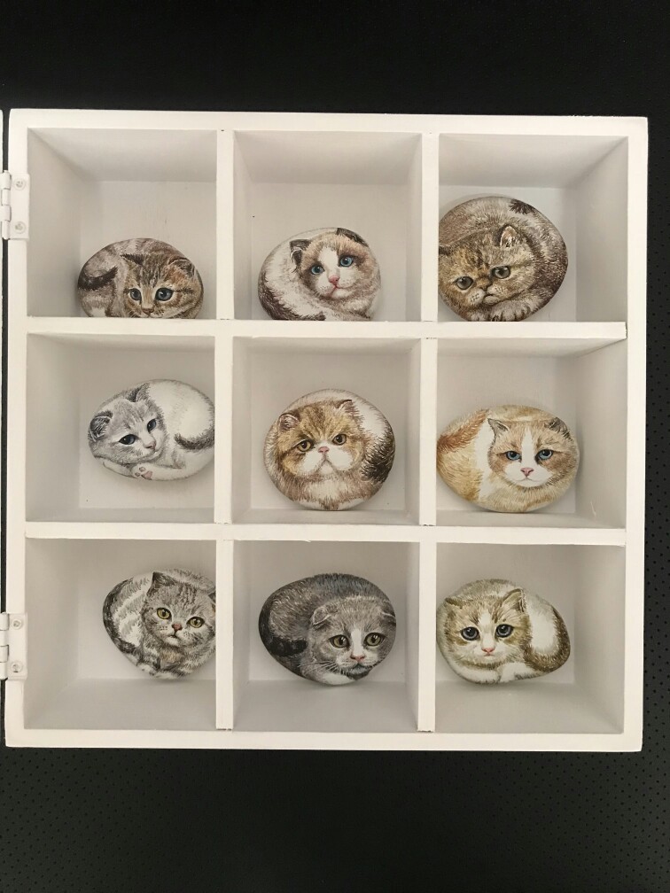 石头画,石头绘,石头彩绘,猫,石头猫