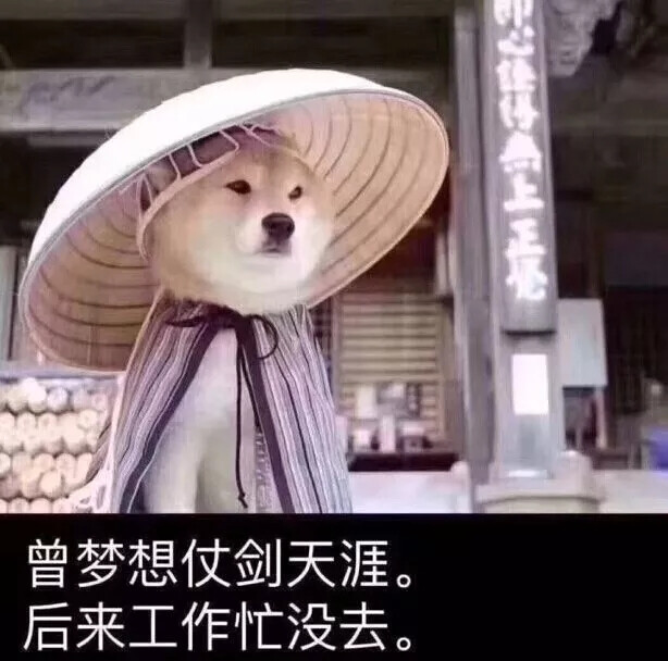 曾梦想仗剑天涯