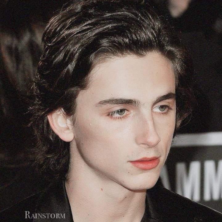 timothée chalamet 甜茶 cr logo