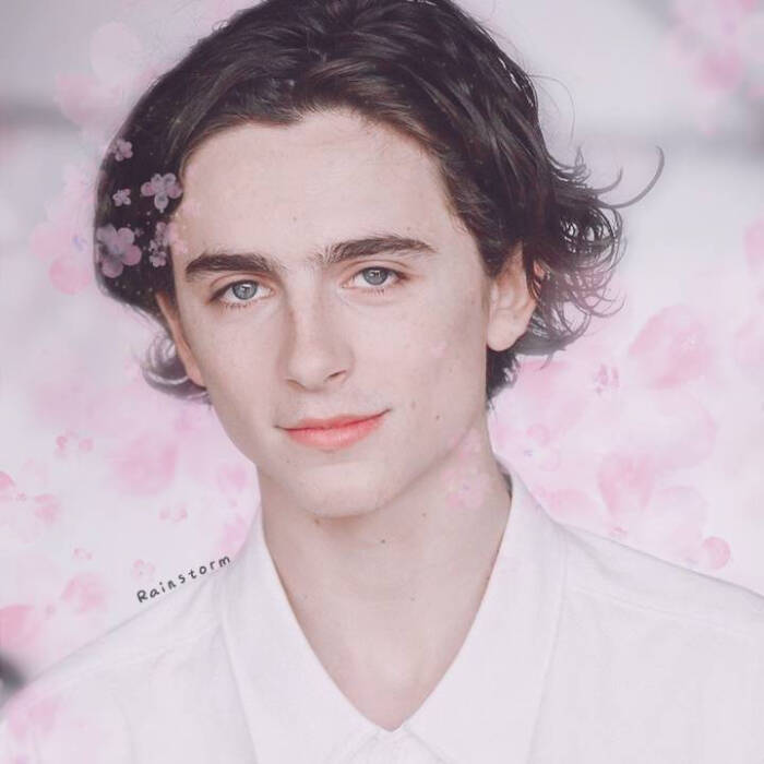 timothée chalamet 甜茶 cr logo