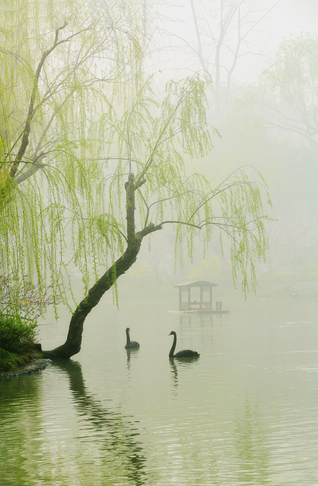 烟雨江南