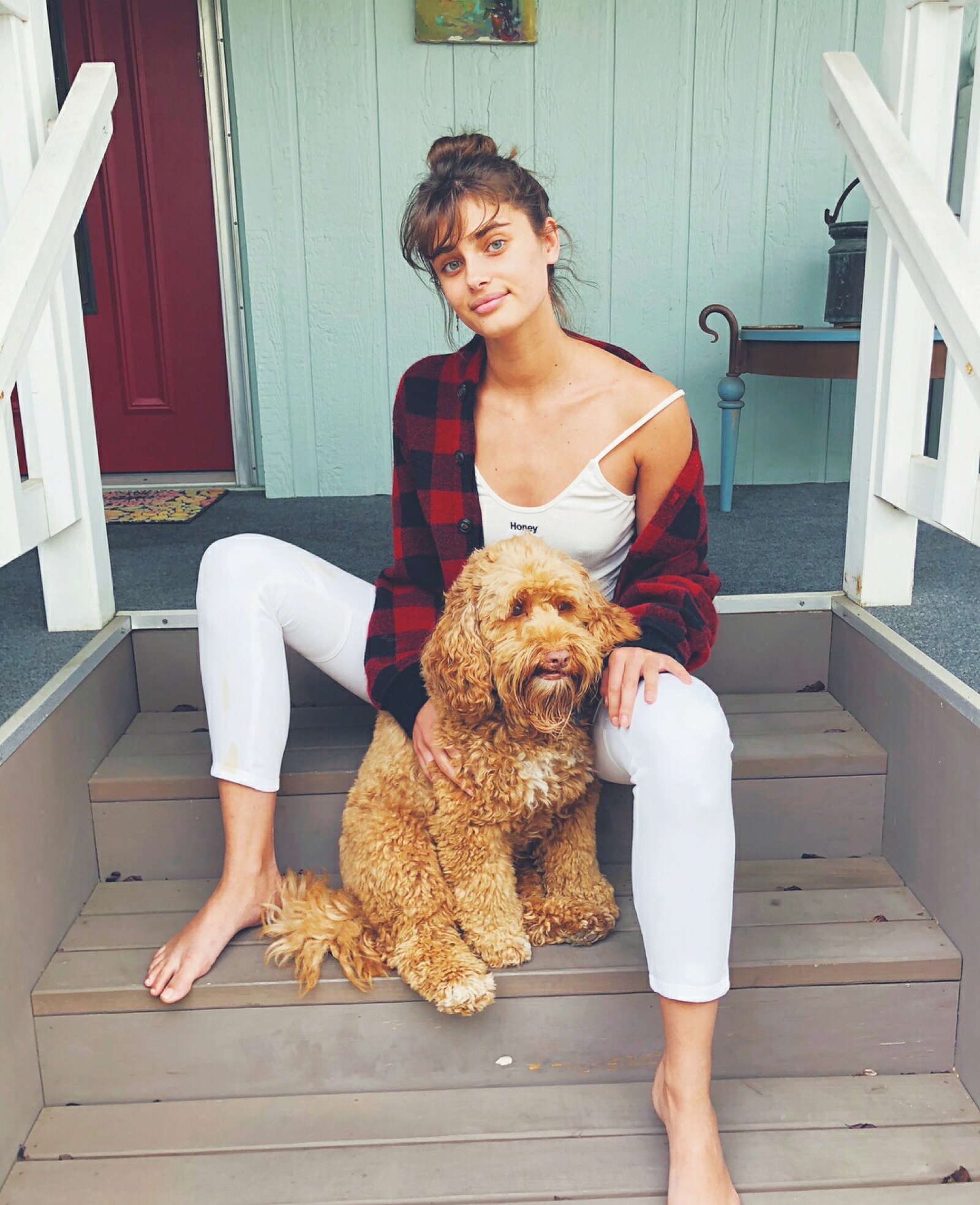 taylor hill