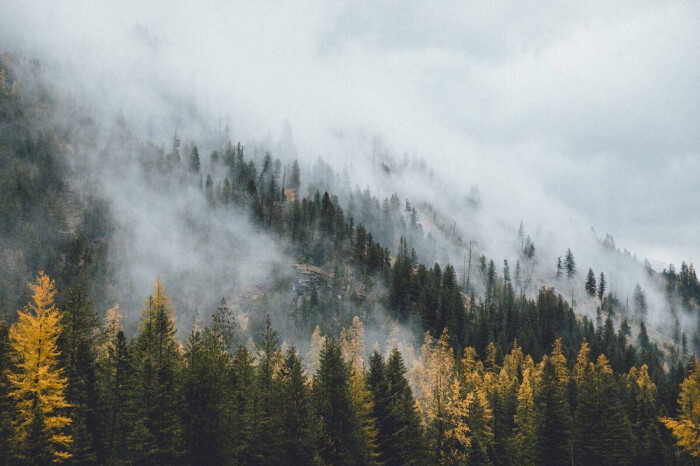 云雾缭绕.山林.背景