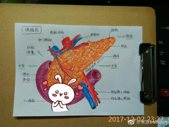 医学手绘,医学插画,医学美图