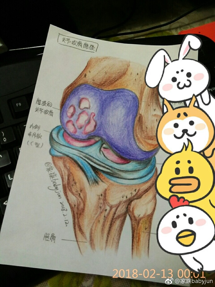 医学手绘,医学插画,医学美图