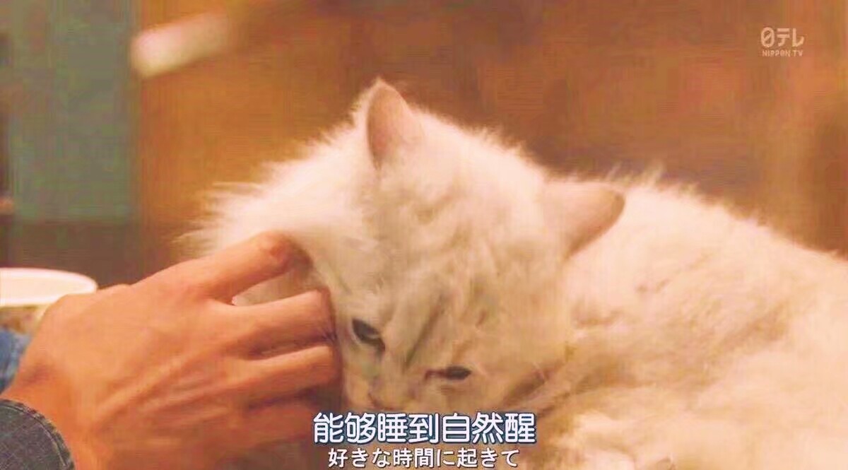 睡到自然醒-堆糖,美好生活研究所