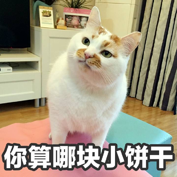 楼楼 表情包