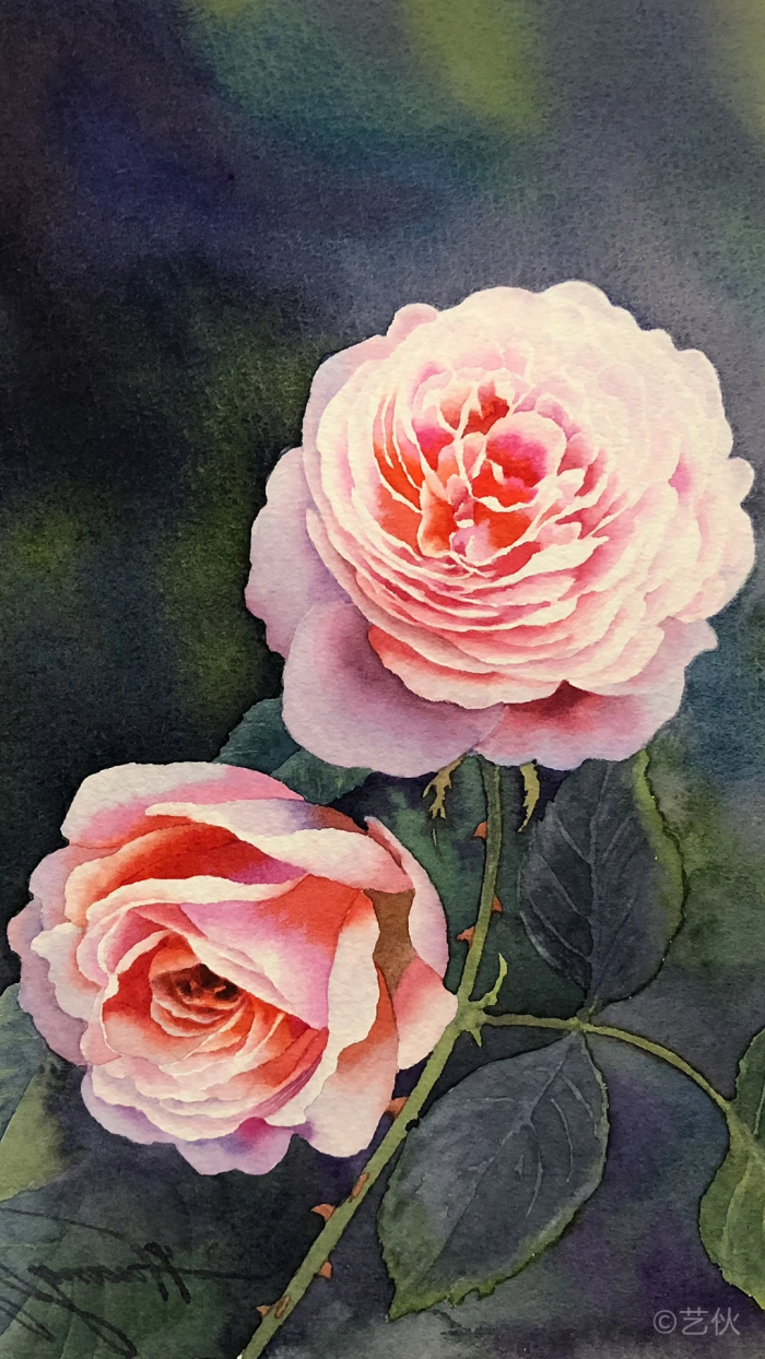 黄有维 