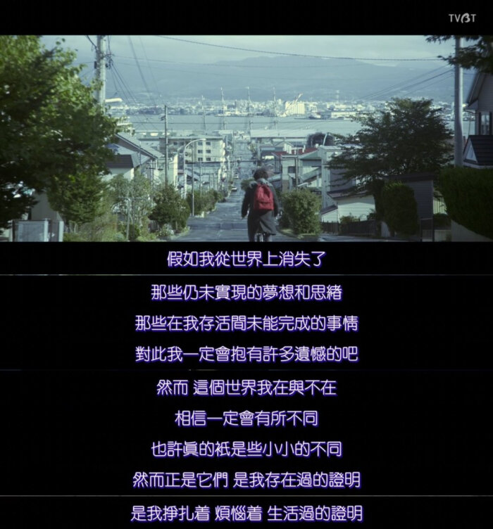 假如猫从世界上消失