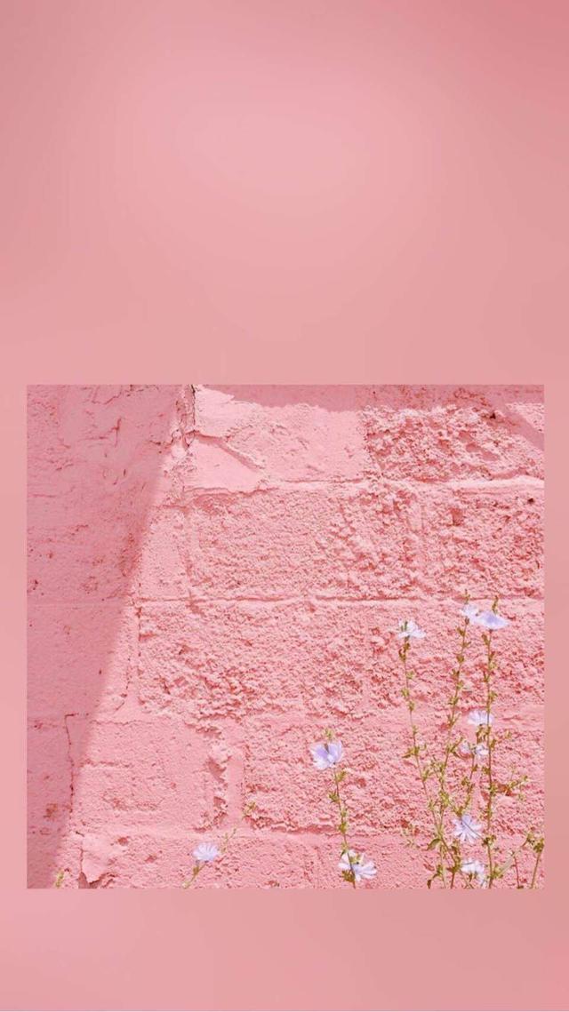 可爱 边框 少女 壁纸 简约 粉色 拼接 樱花 电影