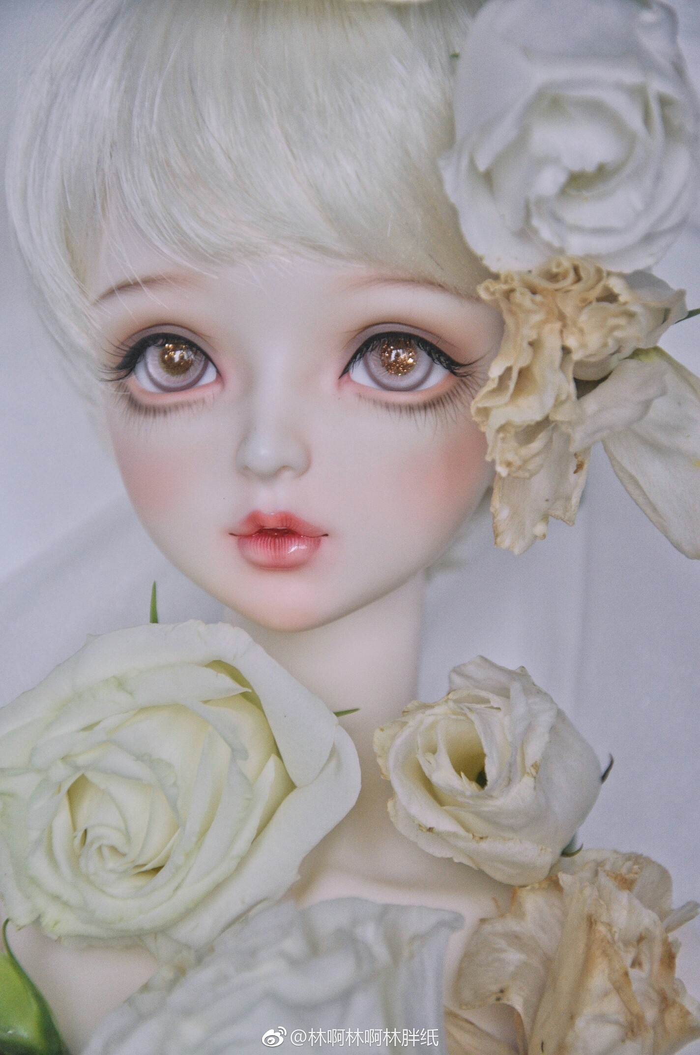 sd娃娃 bjd 玩具 人偶 壁纸 萌物