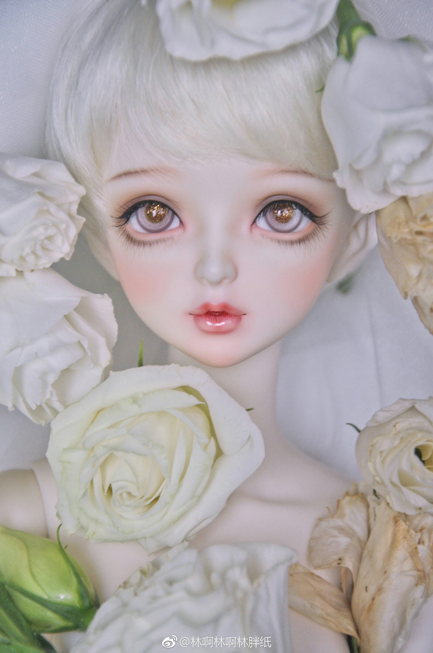 sd娃娃 bjd 玩具 人偶 壁纸 萌物