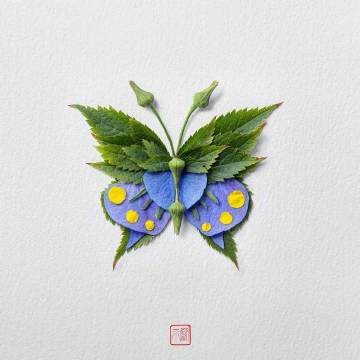 艺术家raku inoue用花瓣重构的蝴蝶,栩栩如生.
