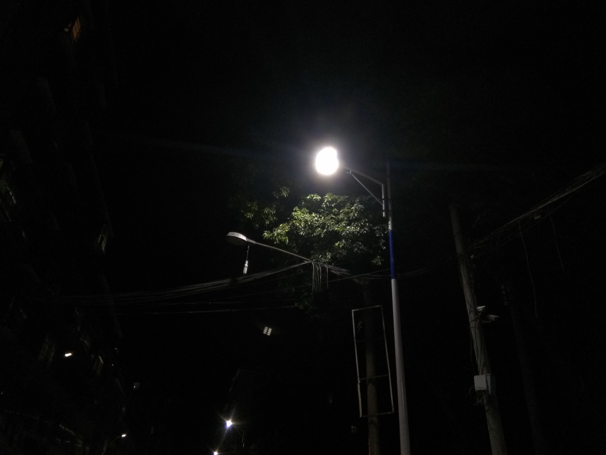 黑夜 路灯 绿 任逸帆