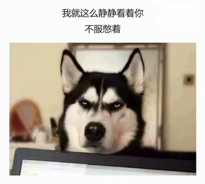 那个火遍朋友圈的单身狗