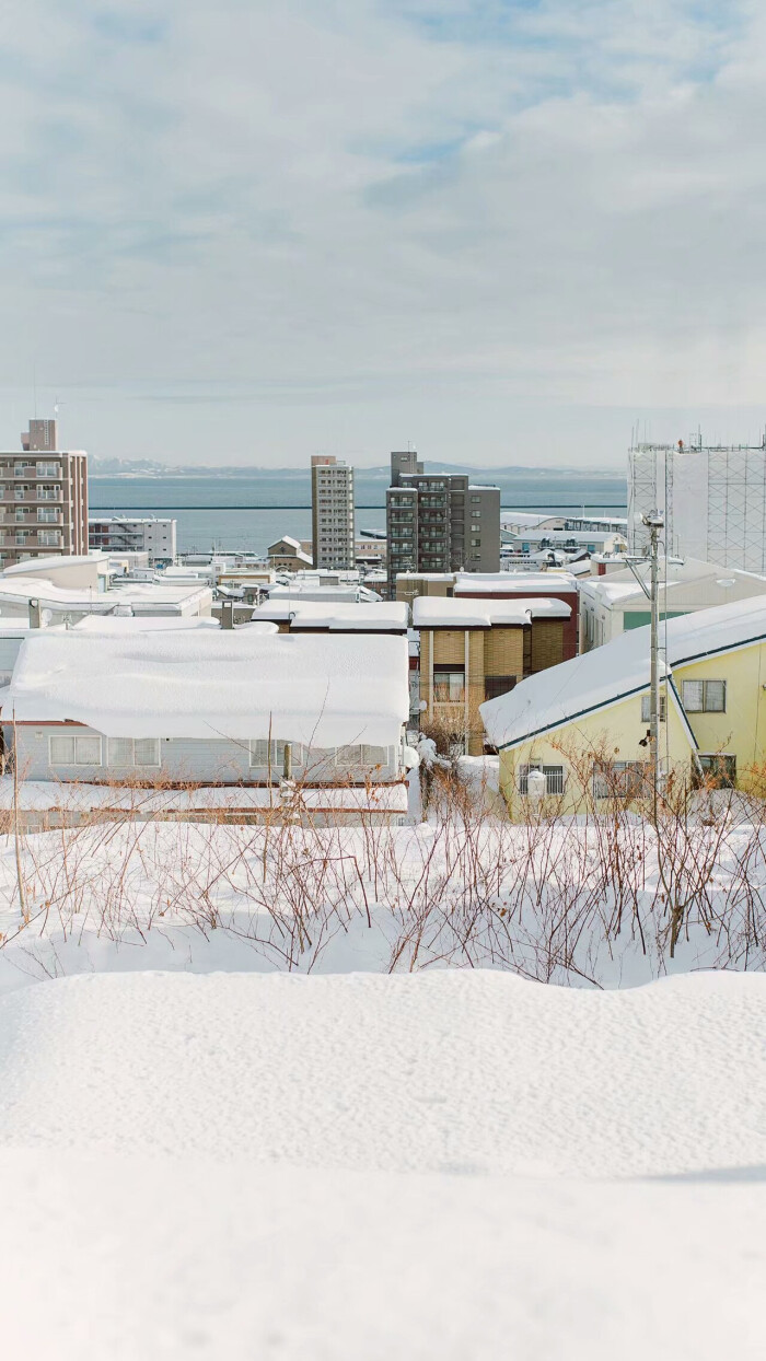 北海道看雪『侵删』『壁纸』