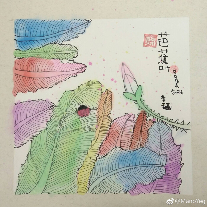 芭蕉叶上的七星瓢虫